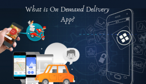 What is On Demand Delivery App